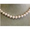 Image 1 : Pearl Necklace with Yellow Gold Clasp