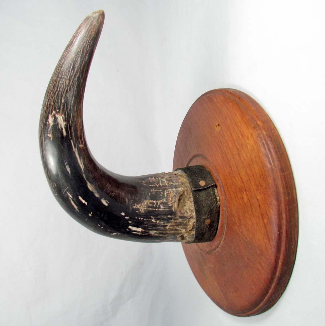 LOT OF 2 VINTAGE HORNS MOUNTED ON WOOD PALQUES