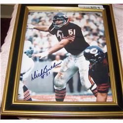 Dick Butkus Autographed Picture. #51.