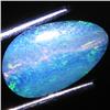 0.96ct Australian Black Opal Doublet Full Fire (GEM-31452)
