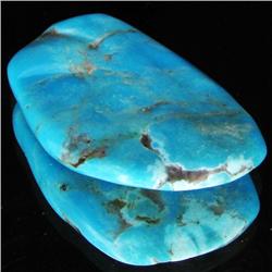 63.65ct Natural Turquoise Cabochon  (GEM-32696)