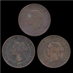 1886/1900/1901 Canada 1c Higher Grade 3 Pcs (COI-8256)