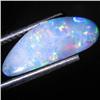 2.7ct Australian Black Opal Doublet Full Fire (GEM-31411)