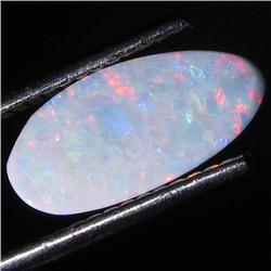 1.18ct Australian Black Opal Doublet Full Fire (GEM-31501)