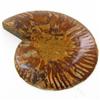 Image 2 : 1155ct Opalized Crystalized Lg Ammonite Cut Half (MIN-000009)