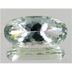 26.95ct Lush Green Kunzite  (GEM-24609)