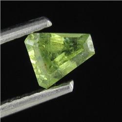 0.38ct Rich Green Demantoid Garnet (GEM-26556)