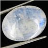 23.35ct Vibrant Color Moonstone Cabochon (GEM-31999)