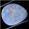 1.33ct Australian Black Opal Doublet Full Fire (GEM-31503)