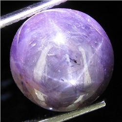 11.75ct Natural Star Ruby Well Patterned  (GEM-32079)