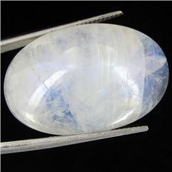 33.35ct Vibrant Color Moonstone Cabochon (GEM-32004)