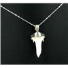 24ctw Carnivor Tooth Sterling Pendant Necklace (JEW-217)