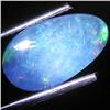 1.83ct Australian Black Opal Doublet Full Fire (GEM-31399)