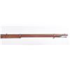 Image 7 : British Tower Marked Percussion Musketoon