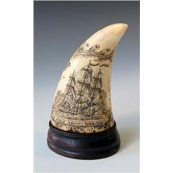 One of a Kind - Engraved Whales Tooth Ship ~Daniel Web