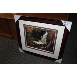 FRAMED LIMITED EDITION PRINT "WOODLAND WATERFALL"