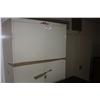 Image 1 : 2 STORAGE CABINETS