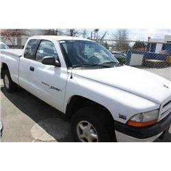 2000 WHITE DODGE DAKOTA PICK UP