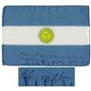 Image 1 : Apollo 14 Flown Argentine Flag