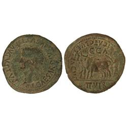 As. -  ÉPOCA DE TIBERIO. -  CAESARAUGUSTA. -  Anv.: TI. CAESAR DIVI. AVGVSTI F. AVGVSTVS. Cabeza lau