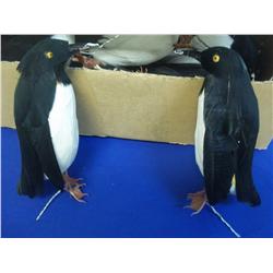 Lot- Feathered Penguins/Crows