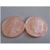 Image 1 : (2) 1 ONE OUNCE COPPER PROOFS .999 FINE
