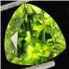 Image 1 : 2.6ct Excellent Pakistan Peridot Trillion (GEM-32661)