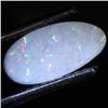 0.66ct Australian Black Opal Doublet Full Fire (GEM-31461)