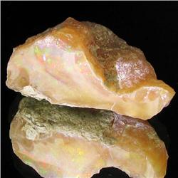 26.85ct Etheopian Opal Rough  (GEM-32712)