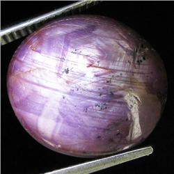 22.70ct Natural Star Ruby Well Patterned  (GEM-32110)