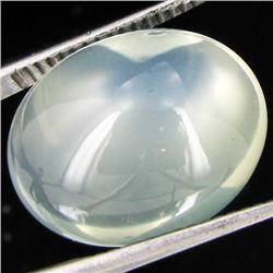 11.60ct Clear Misty Moonstone Cat's Eye Cabochon  (GEM-32043)