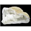 Image 1 : 7135ct White Quartz Natural Geode Half (MIN-000189)