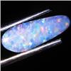 1.92ct Australian Black Opal Doublet Full Fire (GEM-31395)