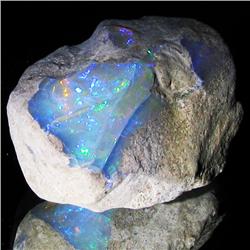 48.15ct Etheopian Opal Rough  (GEM-32725)