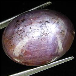 36.85ct Natural Star Ruby Well Patterned  (GEM-32143)