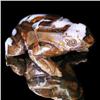 69.83ct Australian Boulder Opal Handcarved Frog (GEM-31854)