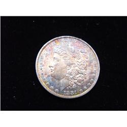 SPECTACULAR BLUE TONED $1 MORGAN 1881 O