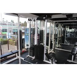 APEX 3 STATION PLATE WEIGHT SYSTEM