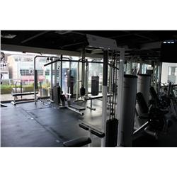 APEX LATERAL PULL DOWN STATION