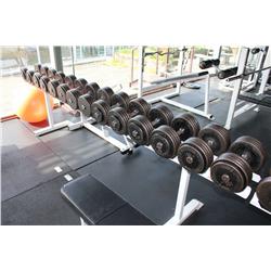 DUMBELL RACK C/W CONTENTS