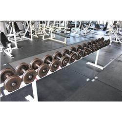 DUMBELL RACK C/W CONTENTS