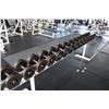 Image 2 : DUMBELL RACK C/W CONTENTS