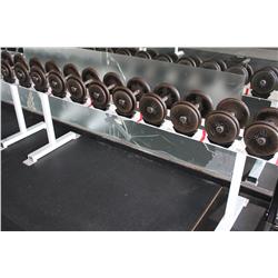DUMBELL RACK C/W CONTENTS
