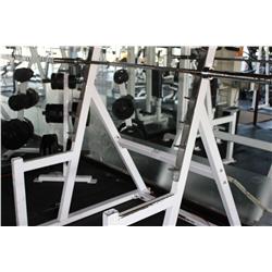 APEX SQUAT STATION C/W BAR