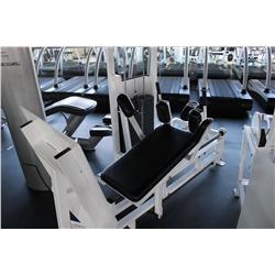 APEX LEG PRESS PLATE WEIGHT STATION
