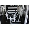 Image 2 : APEX LEG PRESS PLATE WEIGHT STATION