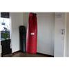 Image 1 : 2 PUNCHING BAGS