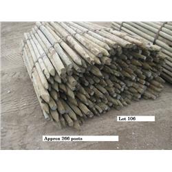 3 in Treated Fence Posts