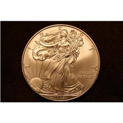 2008 Silver Eagles - Roll of 20 - Uncirculated