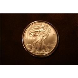 2009 Silver Eagles - lot of 7